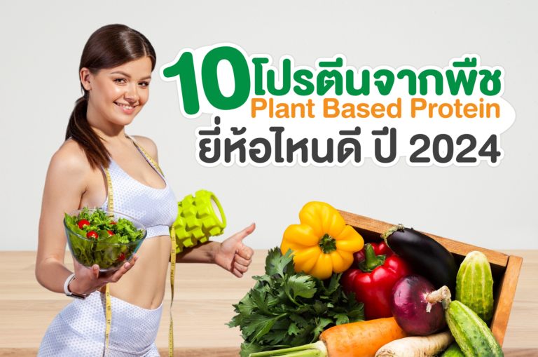 10 โปรตีนจากพืช Plant Based Protein ยี่ห้อไหนดี ปี 2024